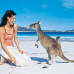 sydney travel to pattaya hotels